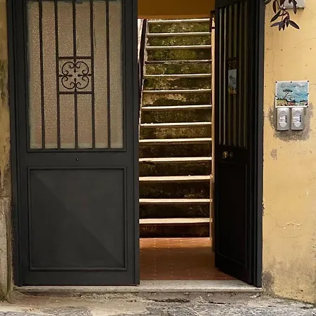 Figurari Home Napoli-3